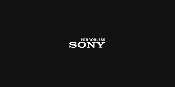 Cara Memilih Kamera Mirrorless Sony Terbaik