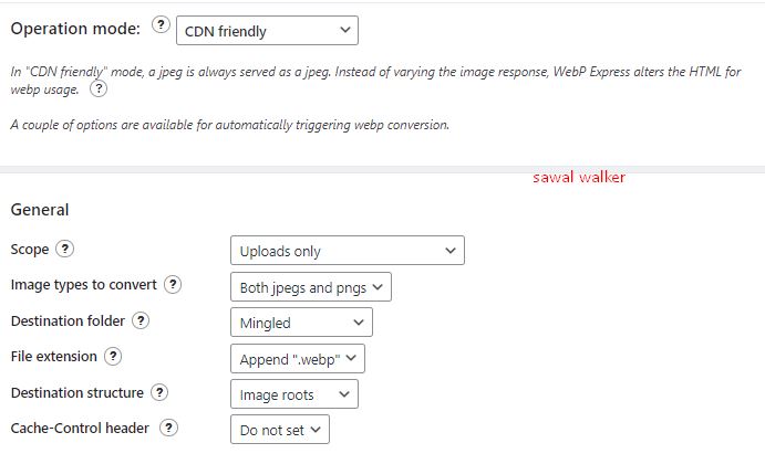 cara setting plugin webp express